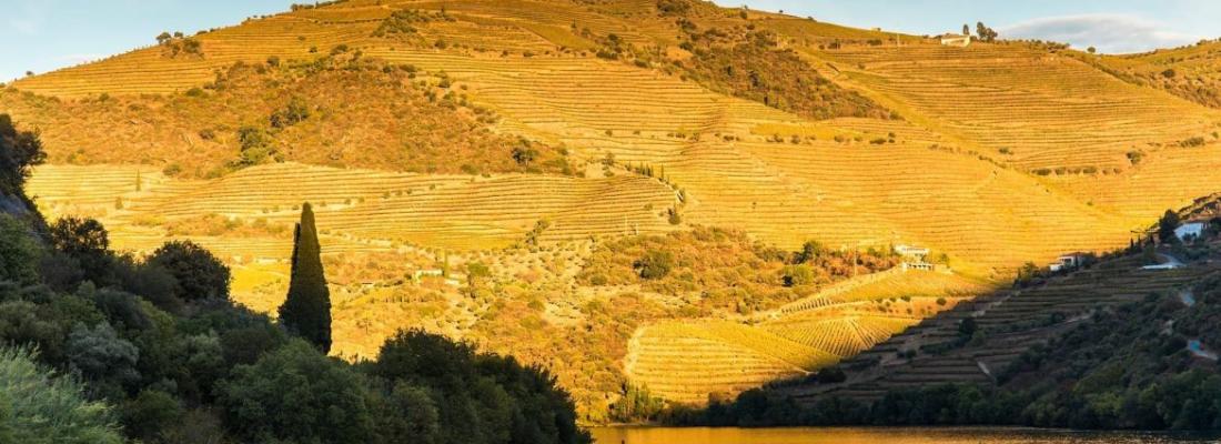 Roteiro Cultural no Alto Douro Vinhateiro
