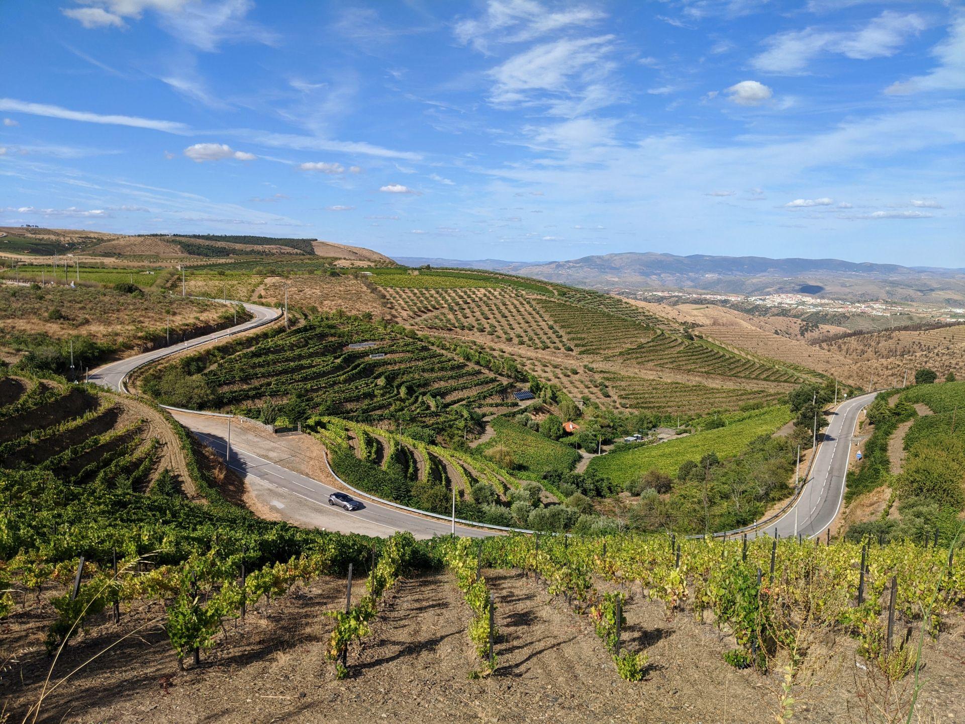 3 Caminhos no Douro a descobrir