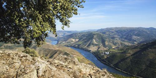 Tour Douro 360