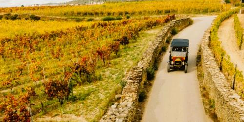 Douro Cl&aacute;ssico