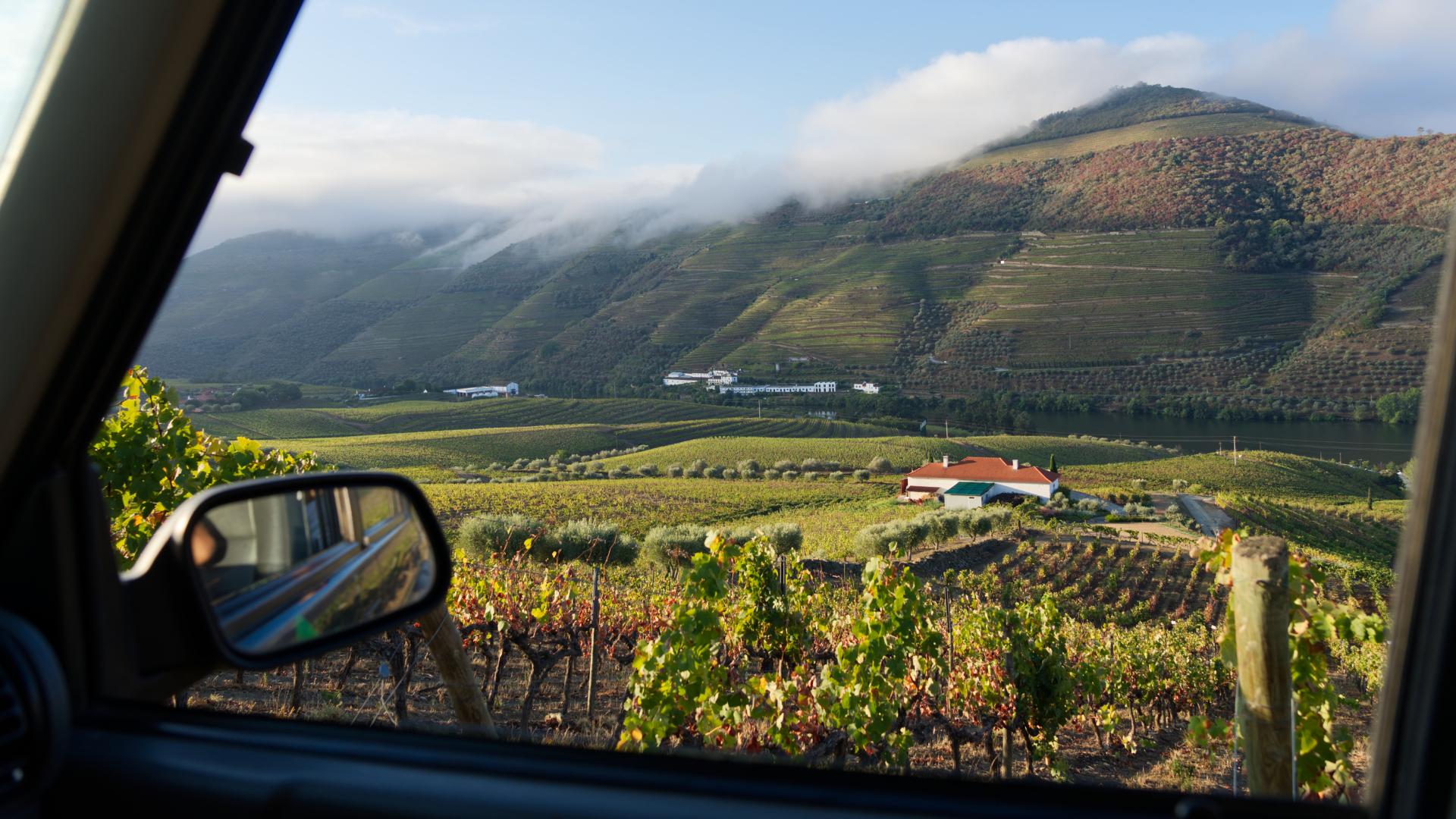 Douro Luxury - 1