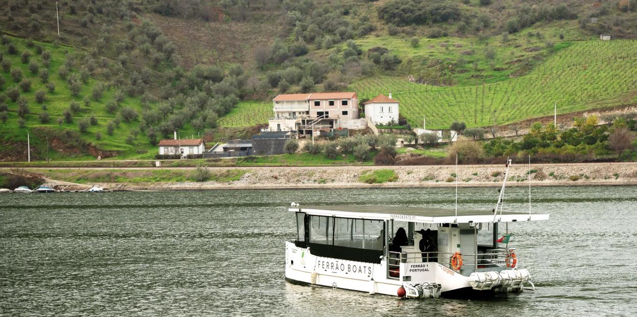 Douro Sunset Experience - 2