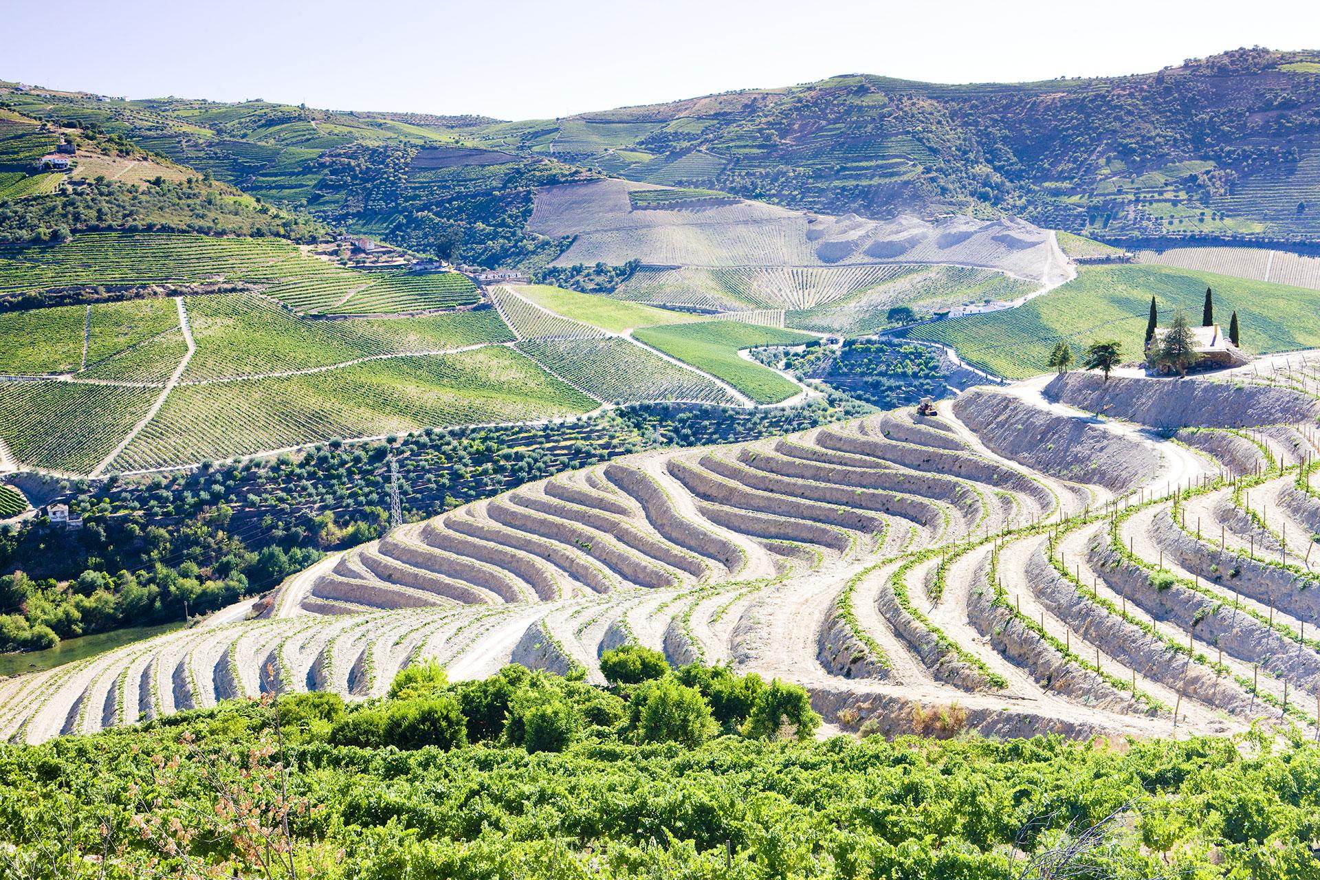 Douro Total - 4