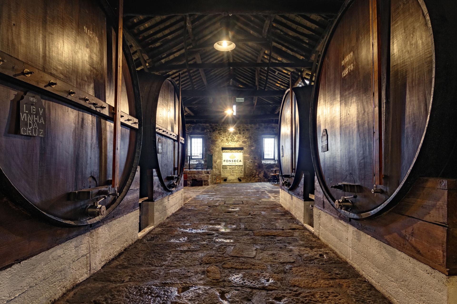 6 Bridges Cruise with visit to the cellars, Wine Tasting and Fado - 2