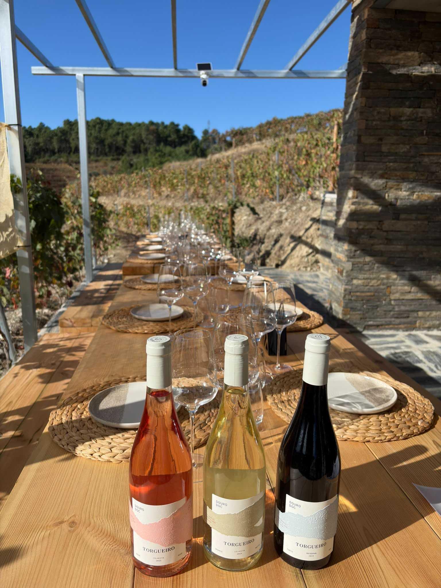 Douro Essencial - 4